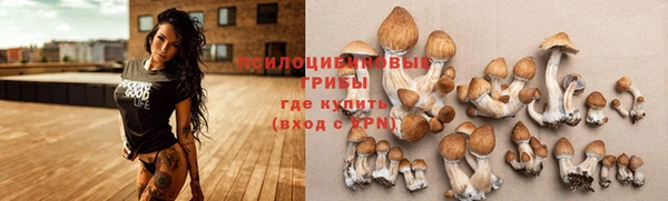mix Нязепетровск