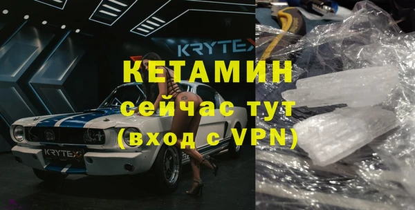 индика Няндома