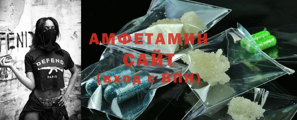 индика Няндома